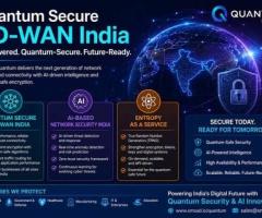 Managed SD-WAN India, SD-WAN solution India, Edge computing router Ind