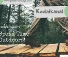 Best Kodaikanal Tour Packages for Families and Couples | peter holidays