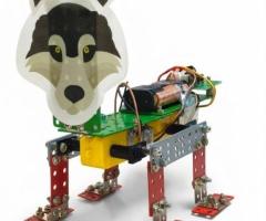 Animal Bot Workshop